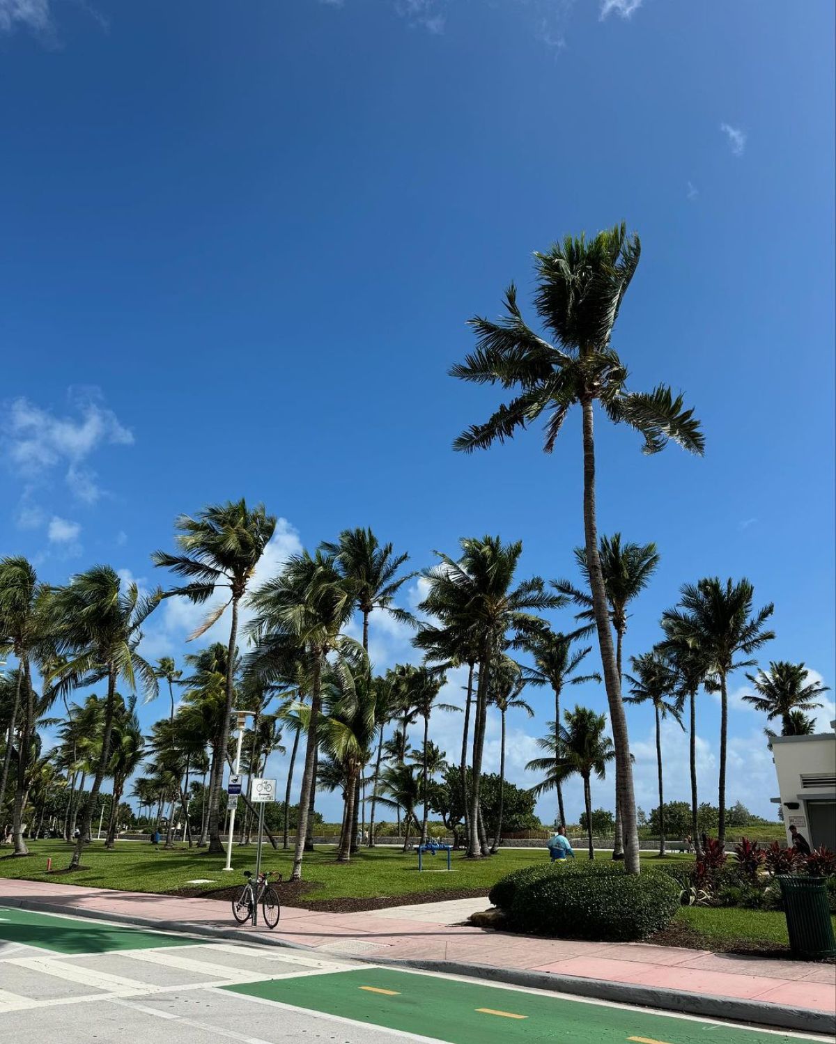 Οι φωτογραφίες που τράβηξε η Ιωάννα Τούνη από το Μαϊάμι