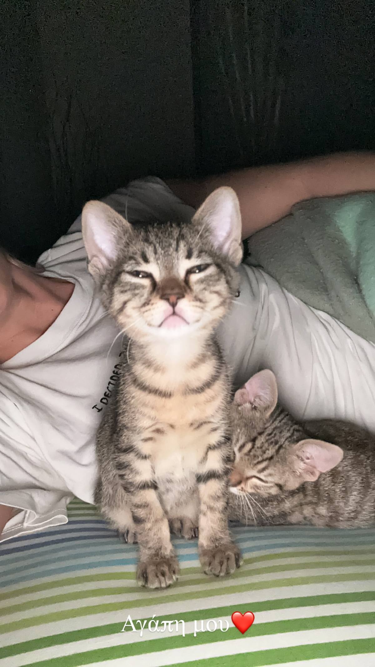 Πένθος για την Κρίστη Καθαργιά: «Δεν ξέρω γιατί έπρεπε να σε χάσω τόσο γρήγορα»