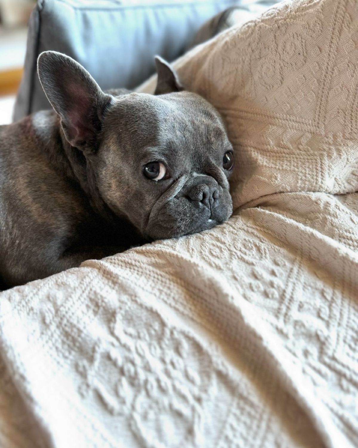 Η ανάρτηση της Δανάης Μπάρκα στο Instagram.