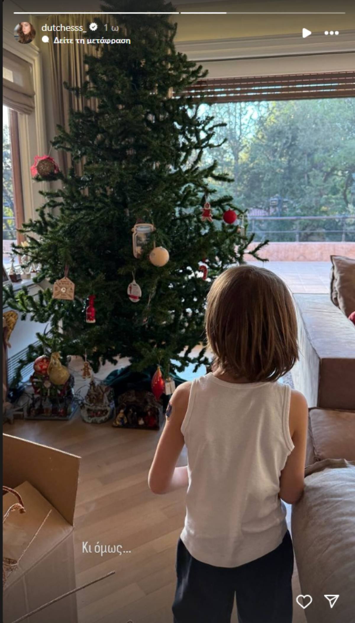 Δούκισσα Νομικού Χριστουγεννιάτικο δέντρο