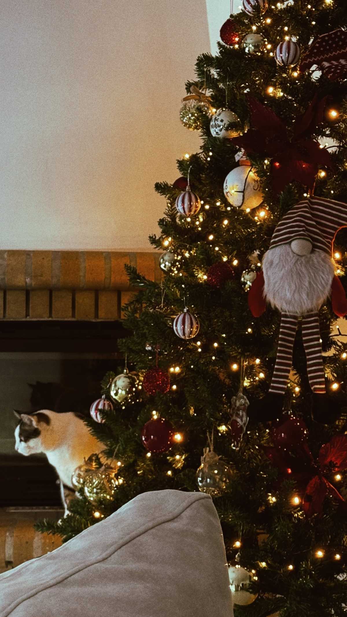 Η ανάρτηση της Ελένης Βουλγαράκη στο Instagram.