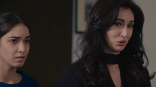 Γη της ελιάς Αμαλία