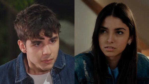 Γη της ελιας Βασιλική Παρασκευάς