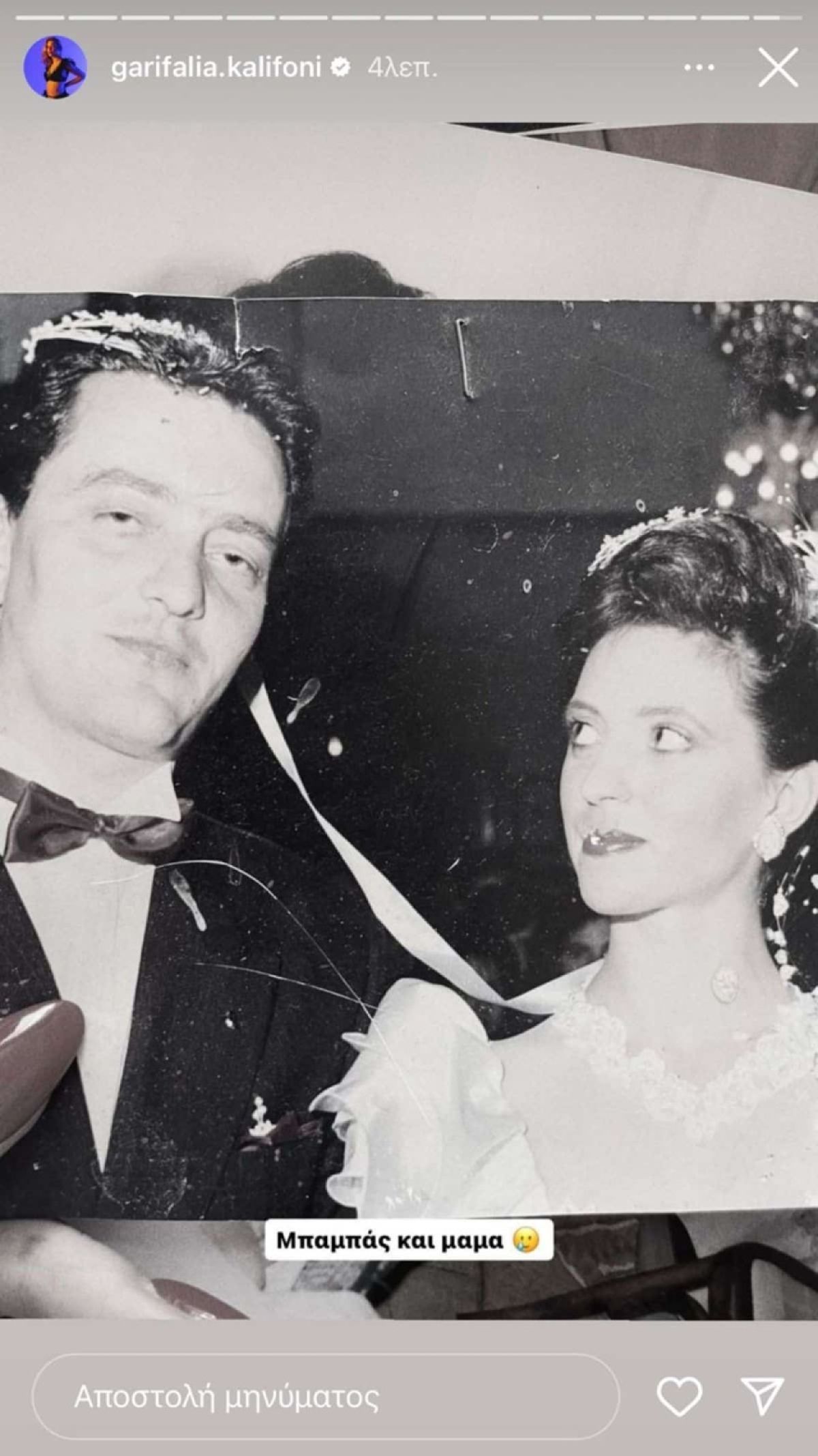 Οι γονείς της γαρυφαλλιάς καληφώνη