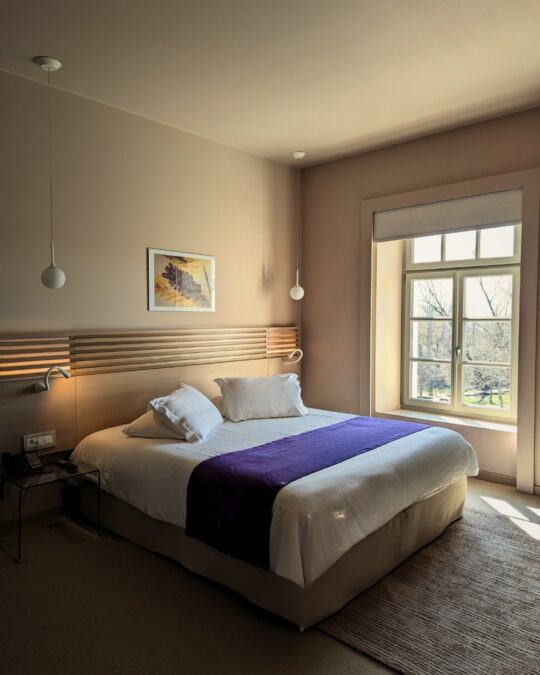 Στο εμβληματικό ξενοδοχείο βρίσκεται σε απόσταση αναπνοής από την μαγευτική Ονειρούπολη