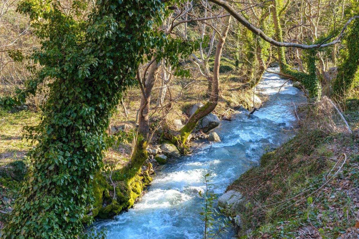 Απόδραση στη στενή Ευβοίας