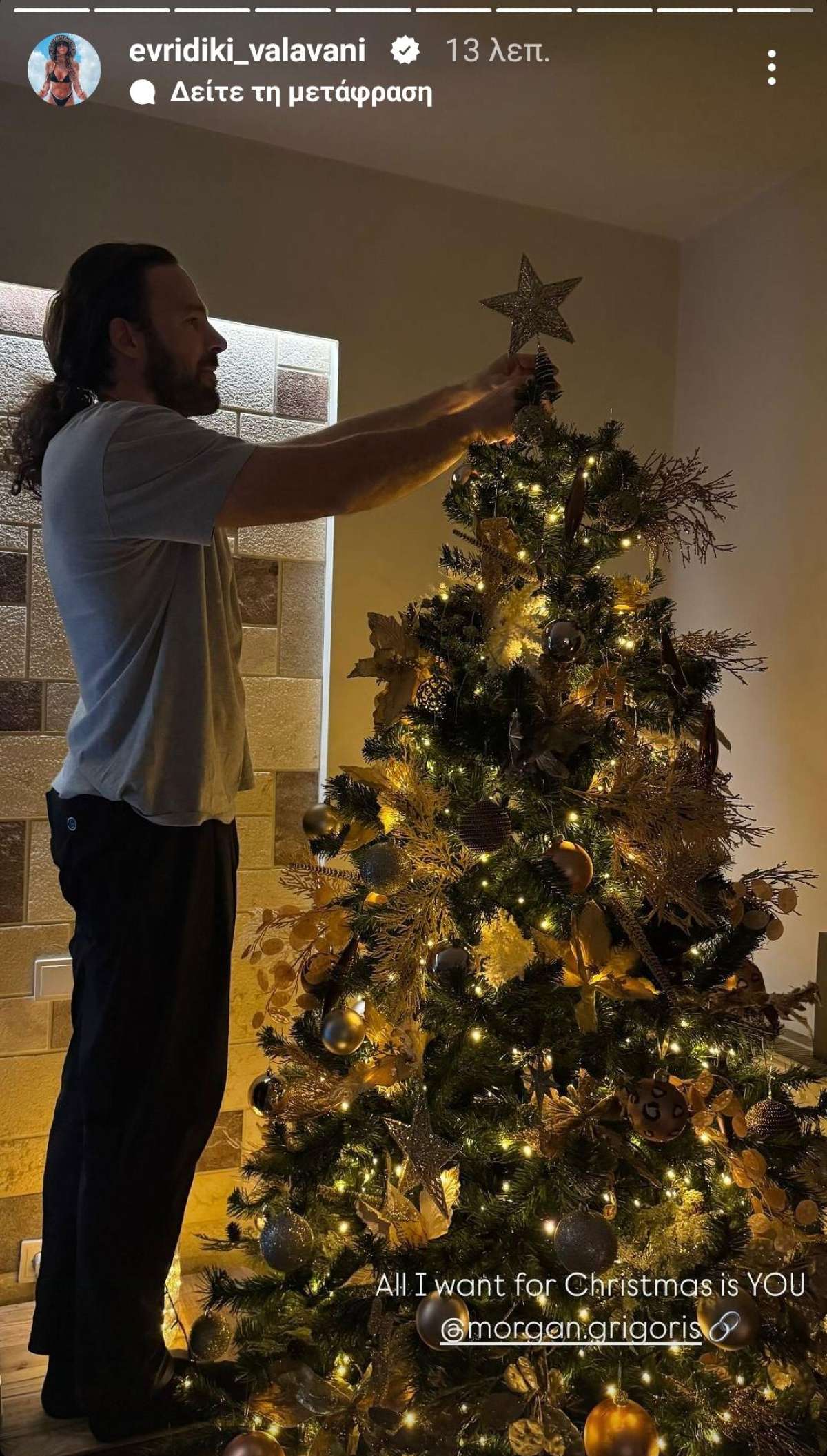 Ο Γρηγόρης Μόργκαν βάζει το δέντρο στο δέντρο με την Ευρυδίκη Βαλαβάνη