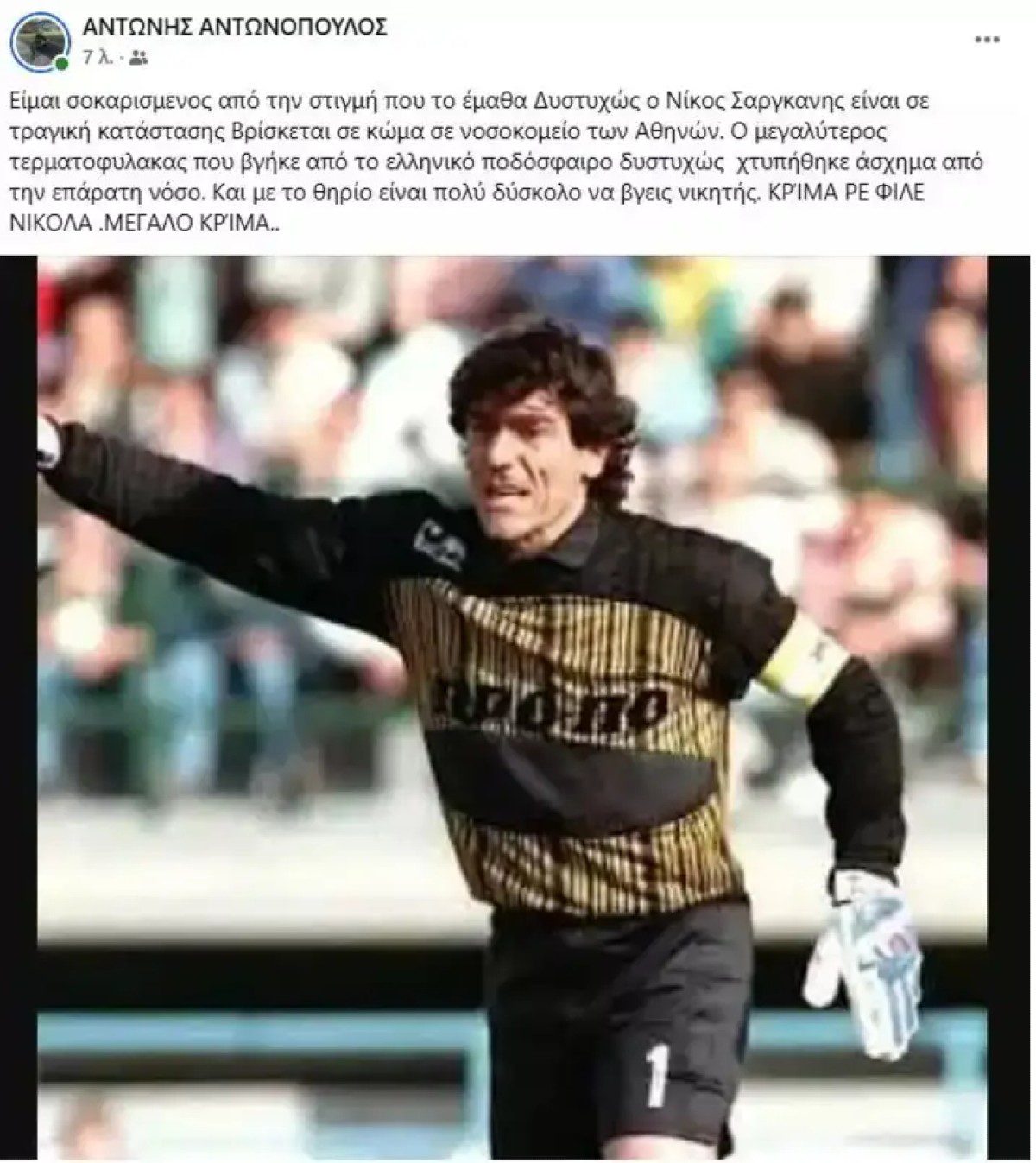 Σε κώμα ο Νίκος Σαργκάνης