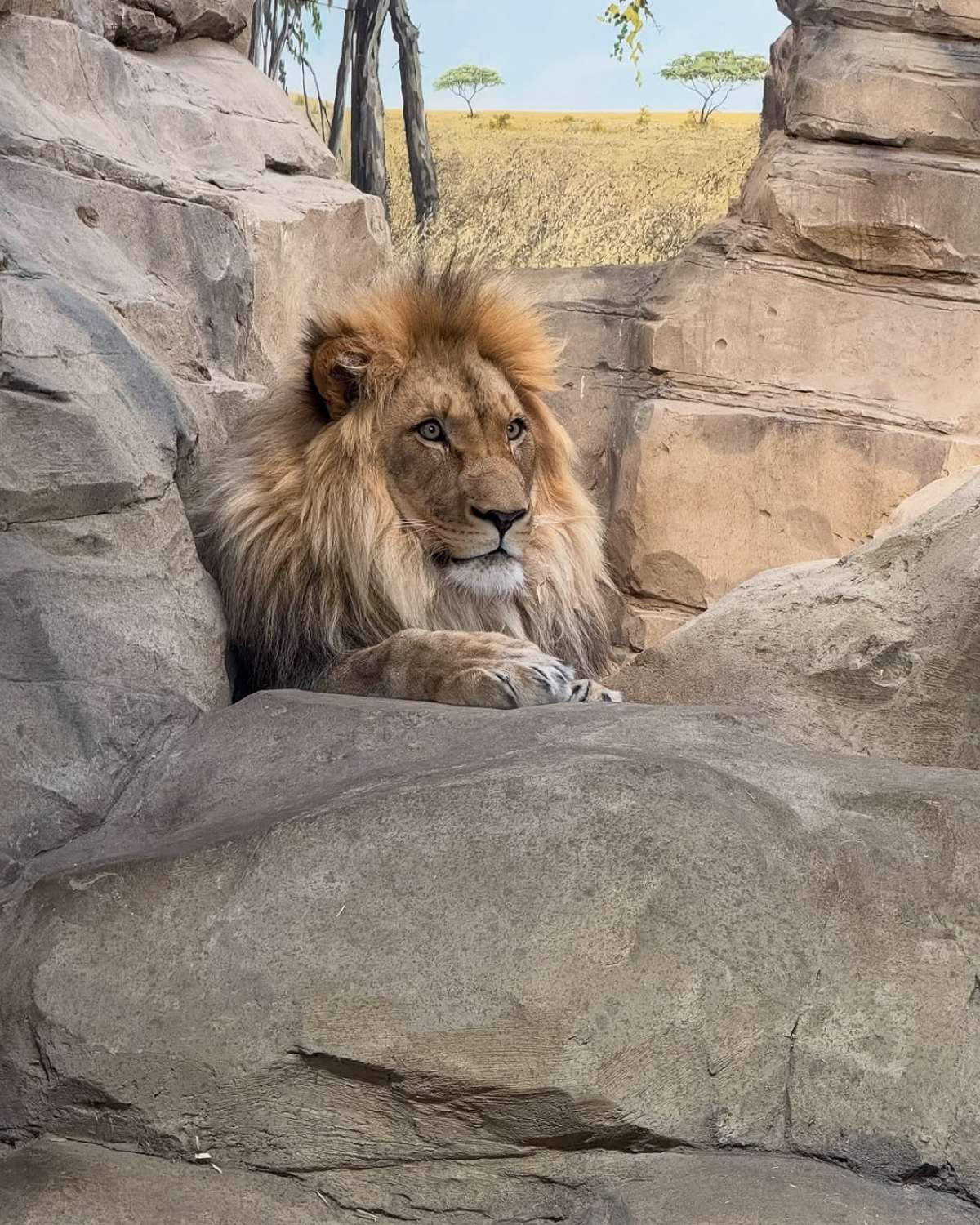 Η Τίνα Μεσσαροπούλου στο Βερολίνο