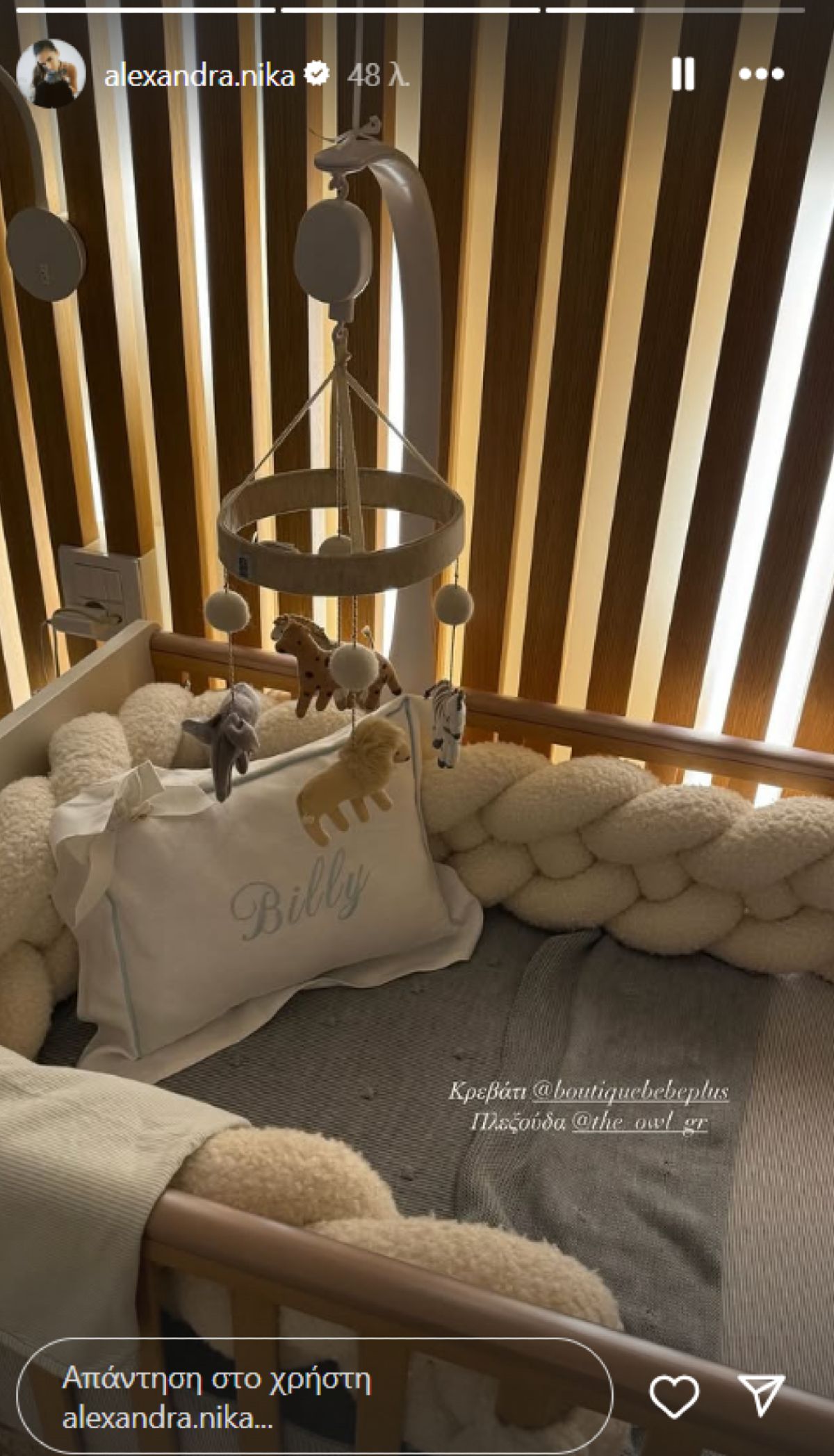 Η ανάρτηση της Αλεξάνδρας Νίκα στο Instagram.