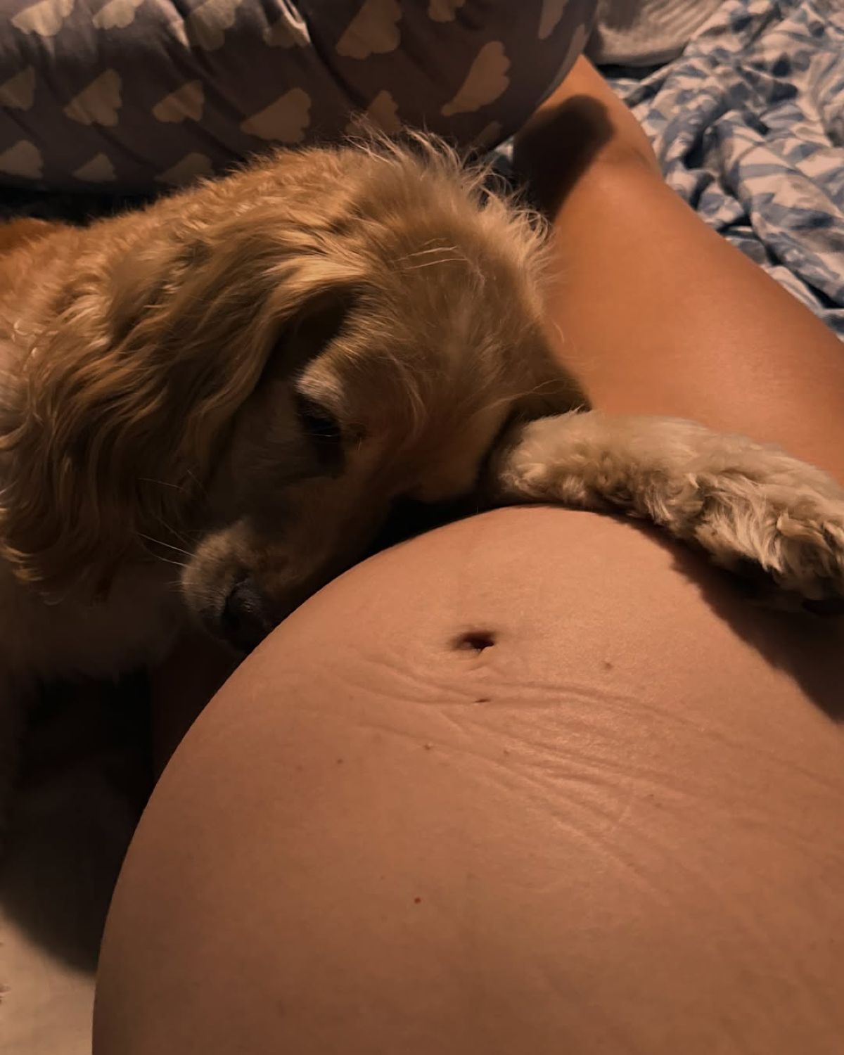 Η ανάρτηση της Φωτεινής Πετρογιάννη στο Instagram.