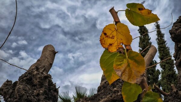 Καιρός με σύννεφα