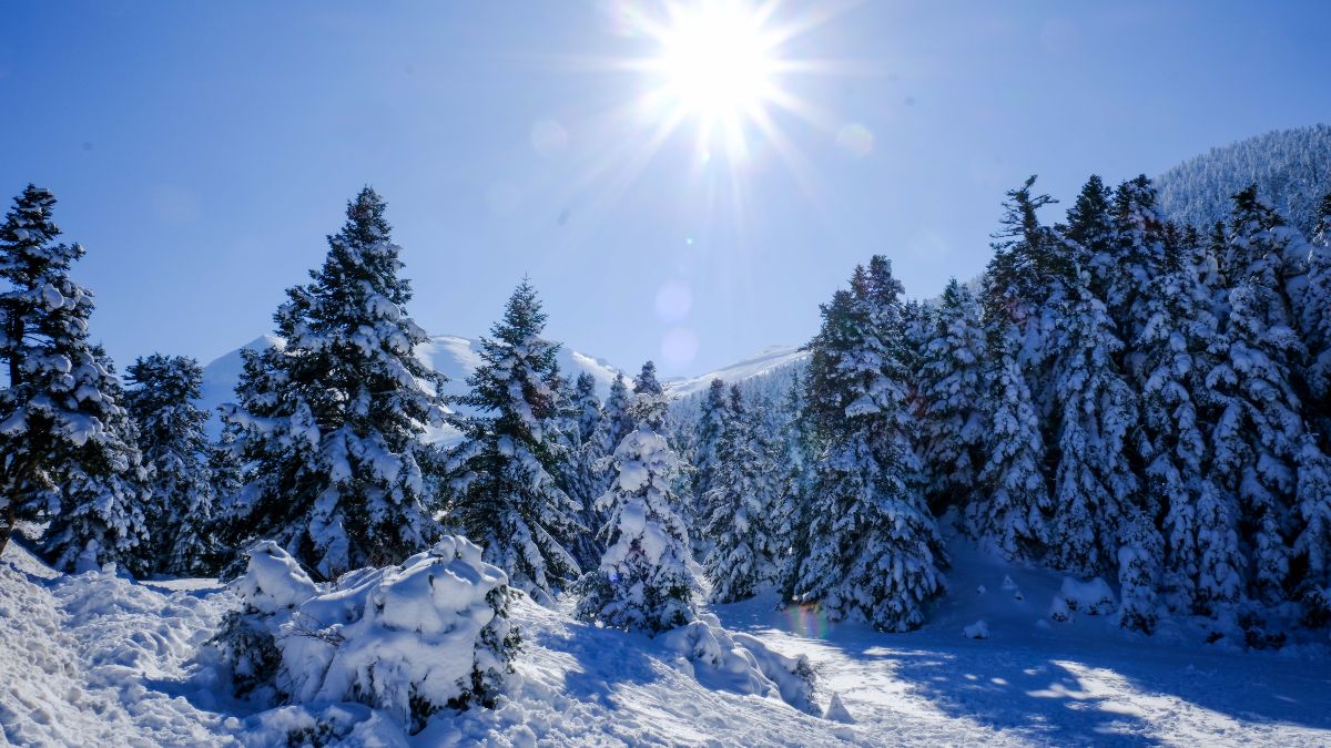 ΦΩΤΟΓΡΑΦΙΑ ΑΠΟ ΤΗΝ ΠΕΡΙΟΧΗ ΤΟΥ ΧΙΟΝΟΔΡΟΜΙΚΟΥ ΚΕΝΤΡΟΥ ΚΑΛΑΒΡΥΤΩΝ