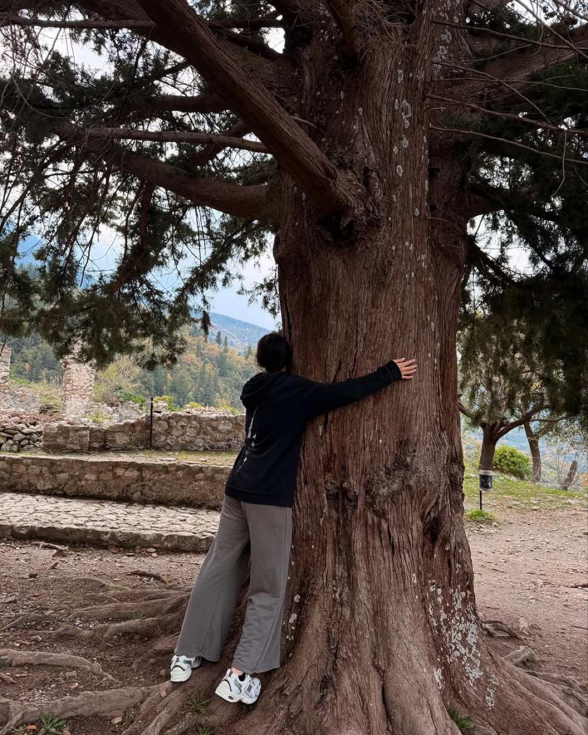 Ο Δεκέμβρης της Μελίνας Νικολαΐδη