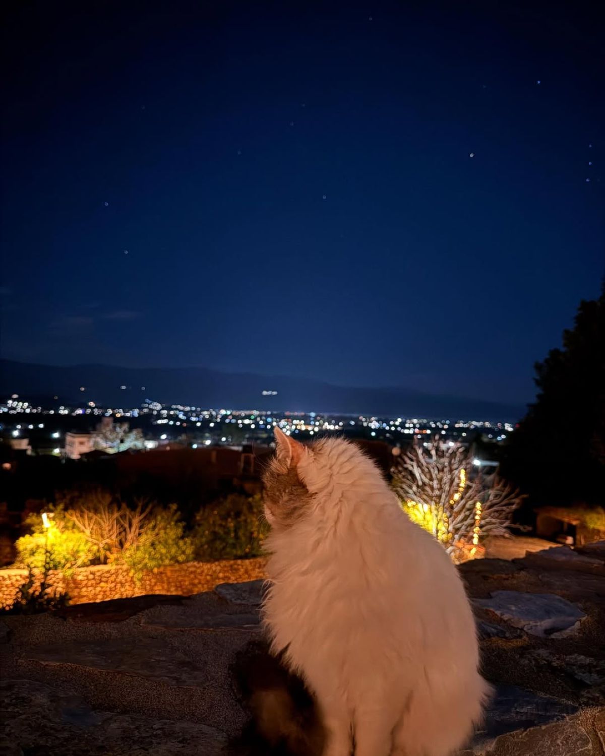 Ο Δεκέμβρης της Μελίνας Νικολαΐδη