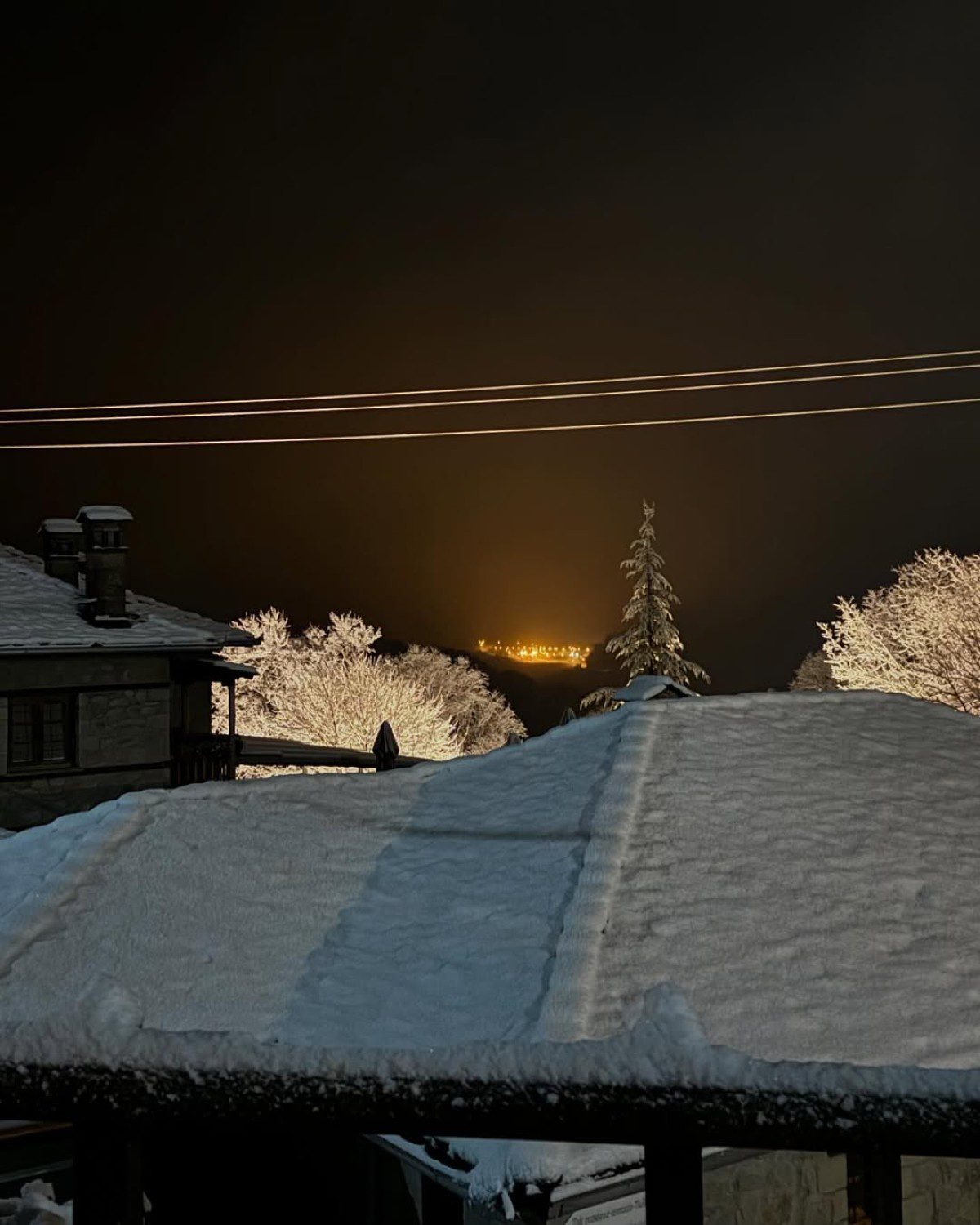 Το φωτογραφικό άλμπουμ της Μιχαλοπούλου από το Μέτσοβο με τον γιο της