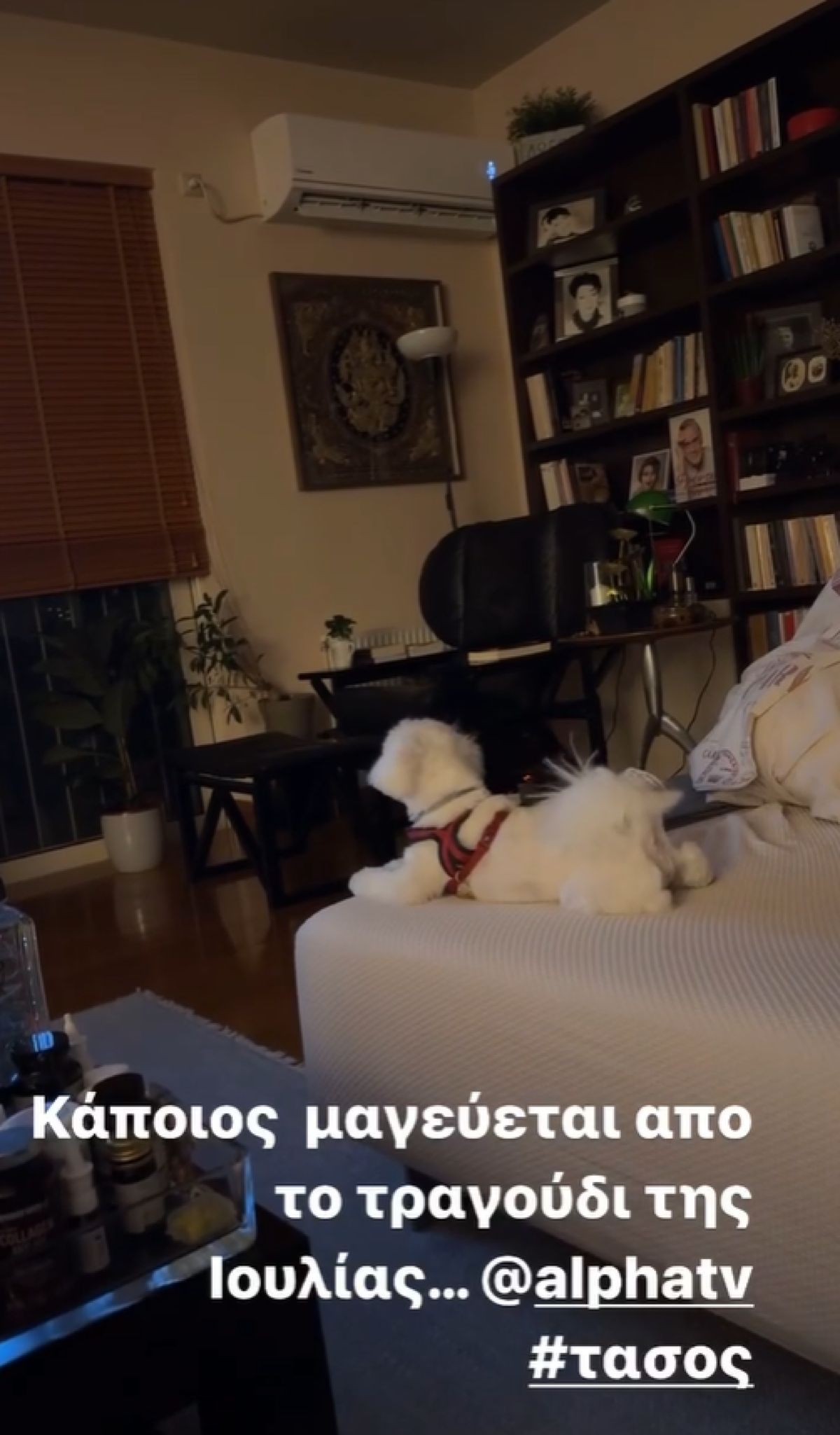 Η ανάρτηση της Ναταλίας Γερμανού στο Instagram.