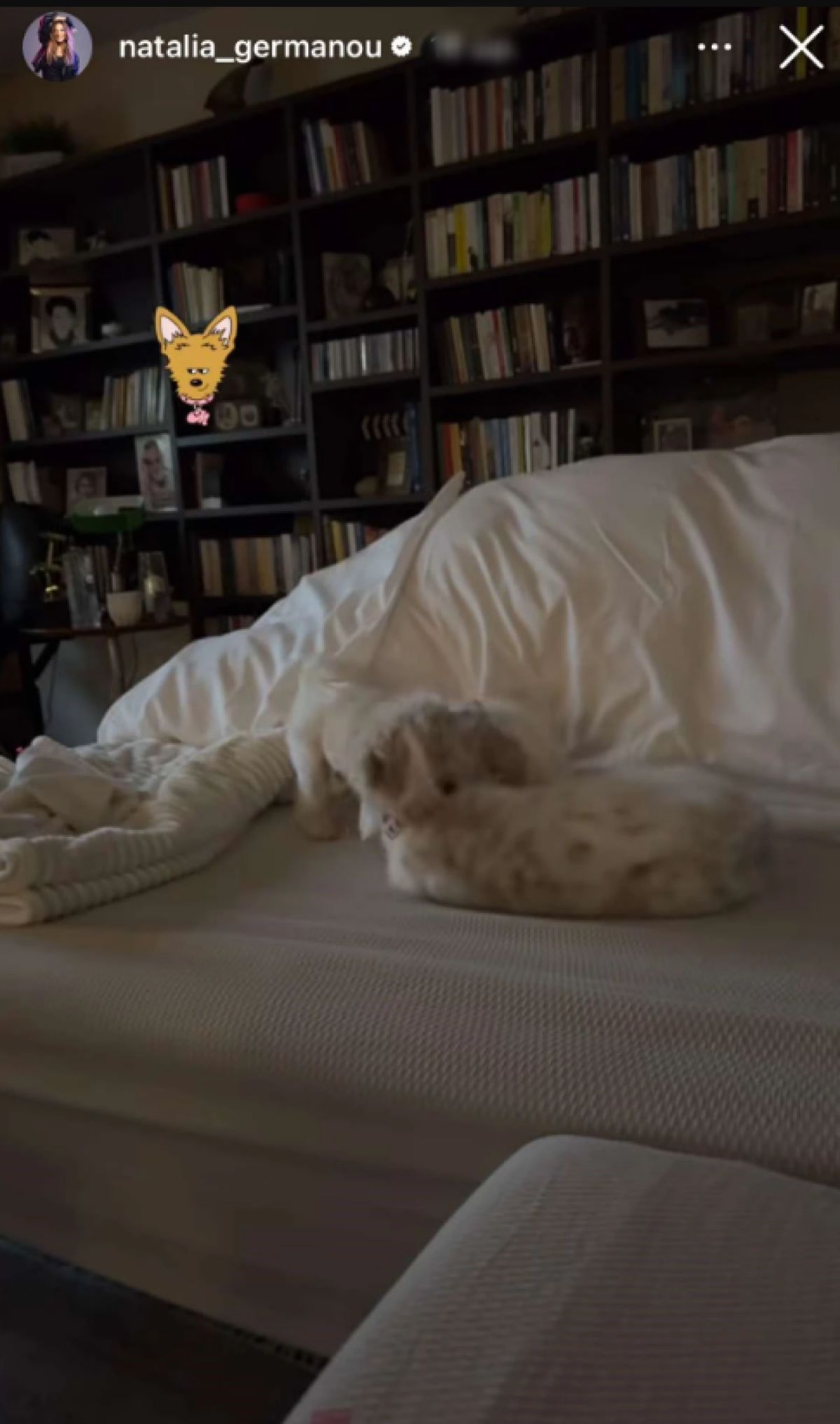 Η ανάρτηση της Ναταλίας Γερμανού στο Instagram.
