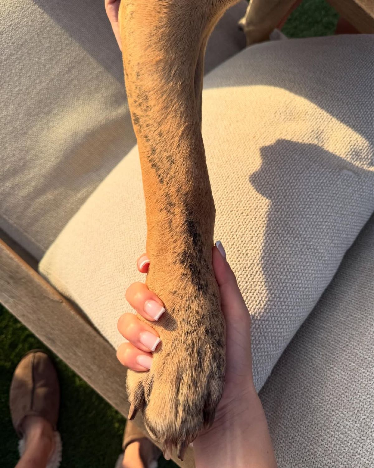 Ο Δεκέμβρης της Μελίνας Νικολαΐδη