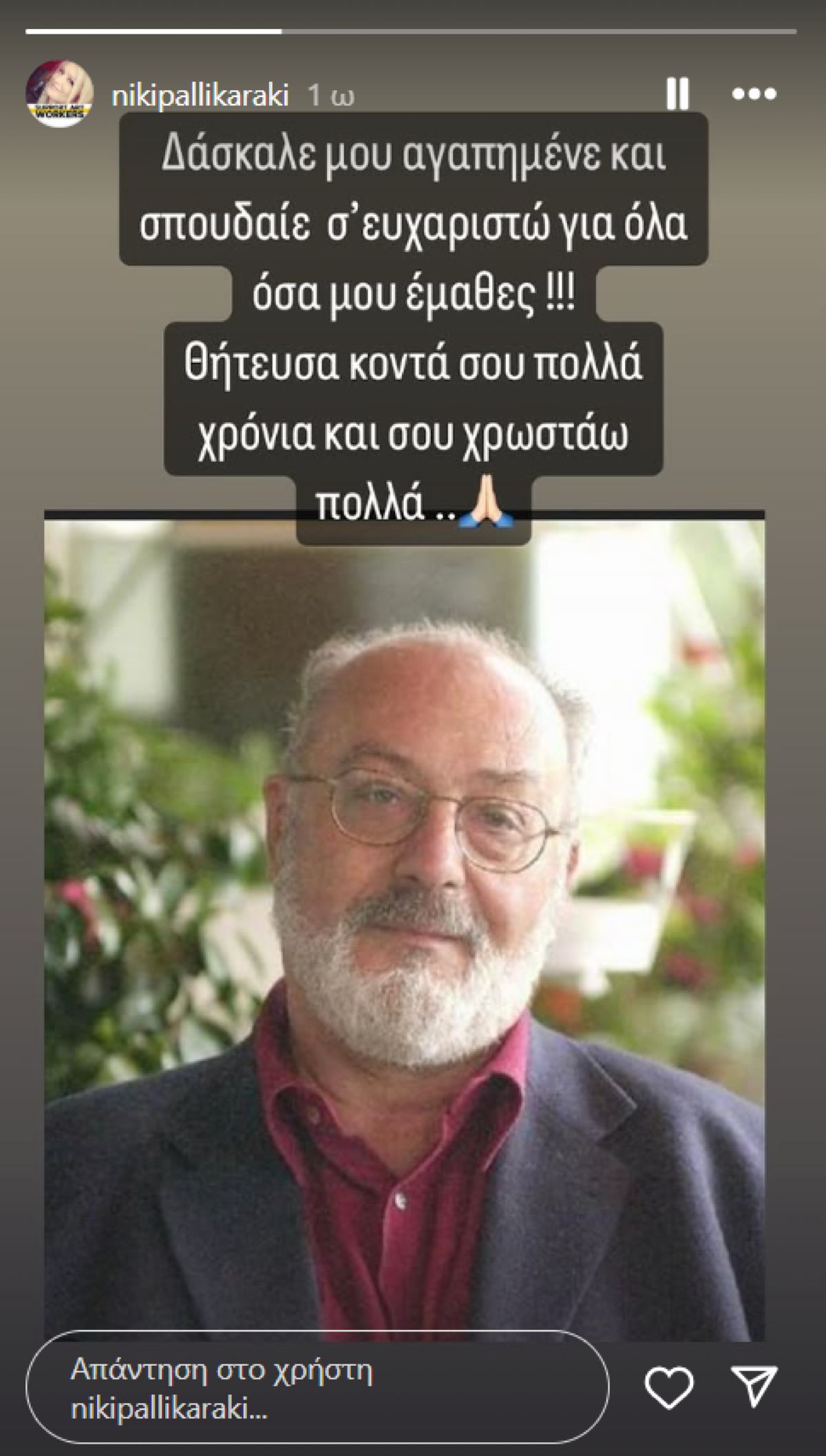 Η ανάρτηση της Νίκης Παλληκαράκη στο Instagram.