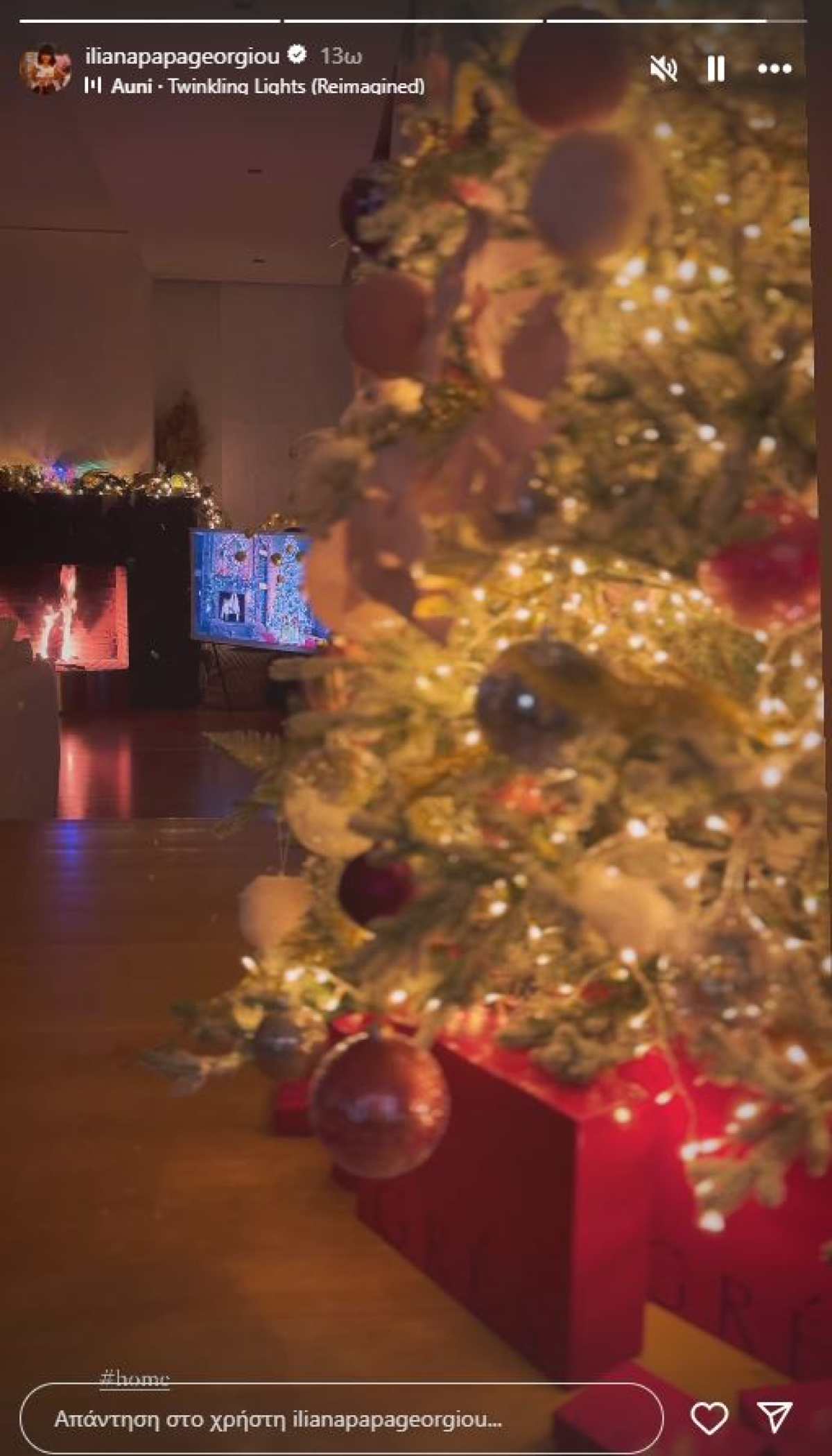 Ηλιάνα Παπαγεωργίου - Γιάννης Καραβασάνης: Φωτογραφία από το στολισμένο σαλόνι του σπιτιού τους