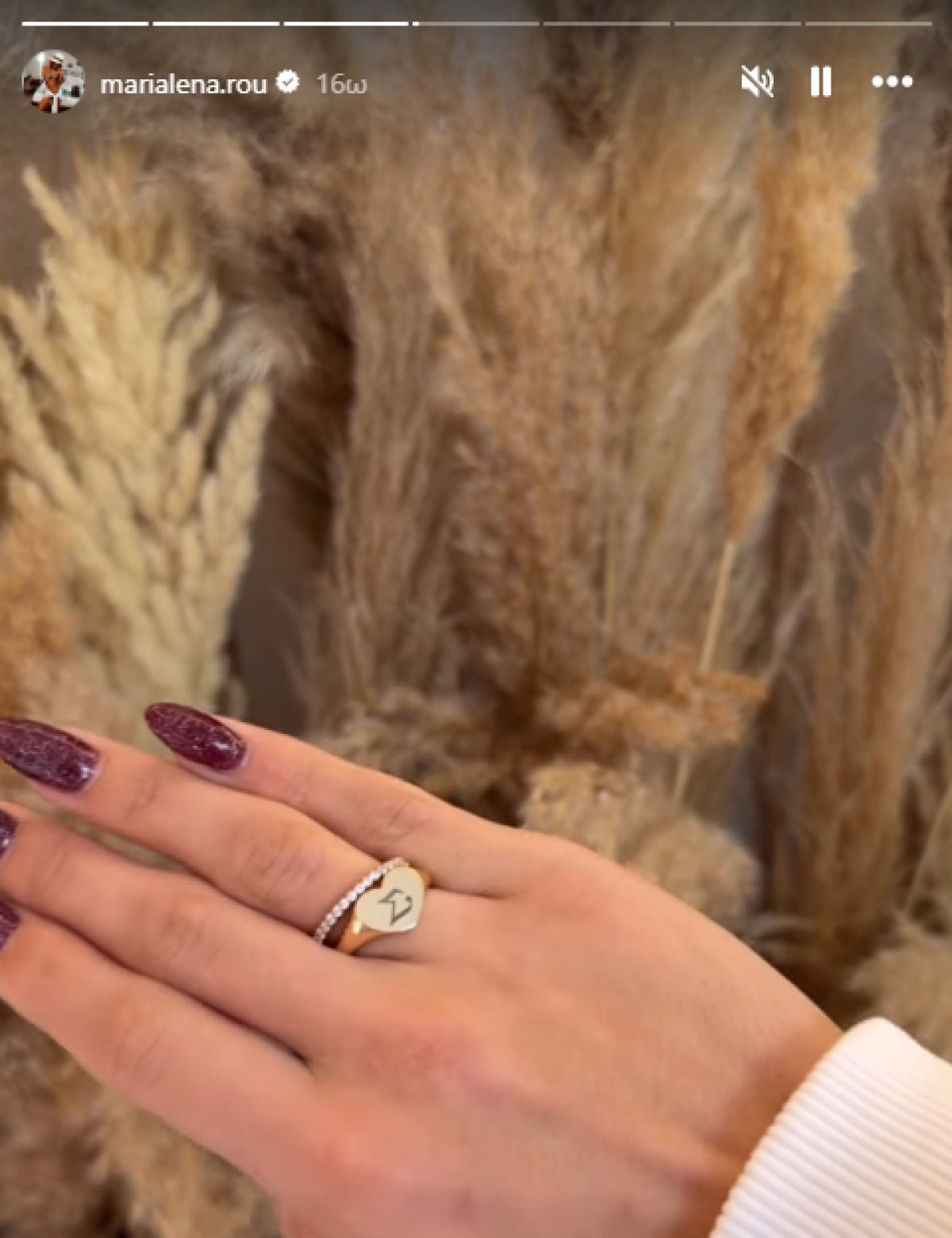 Το δώρο του Σάκη Κατσούλη στη Μαριαλένα Ρουμελιώτη