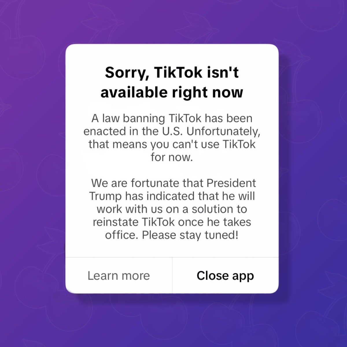 TikTok ban