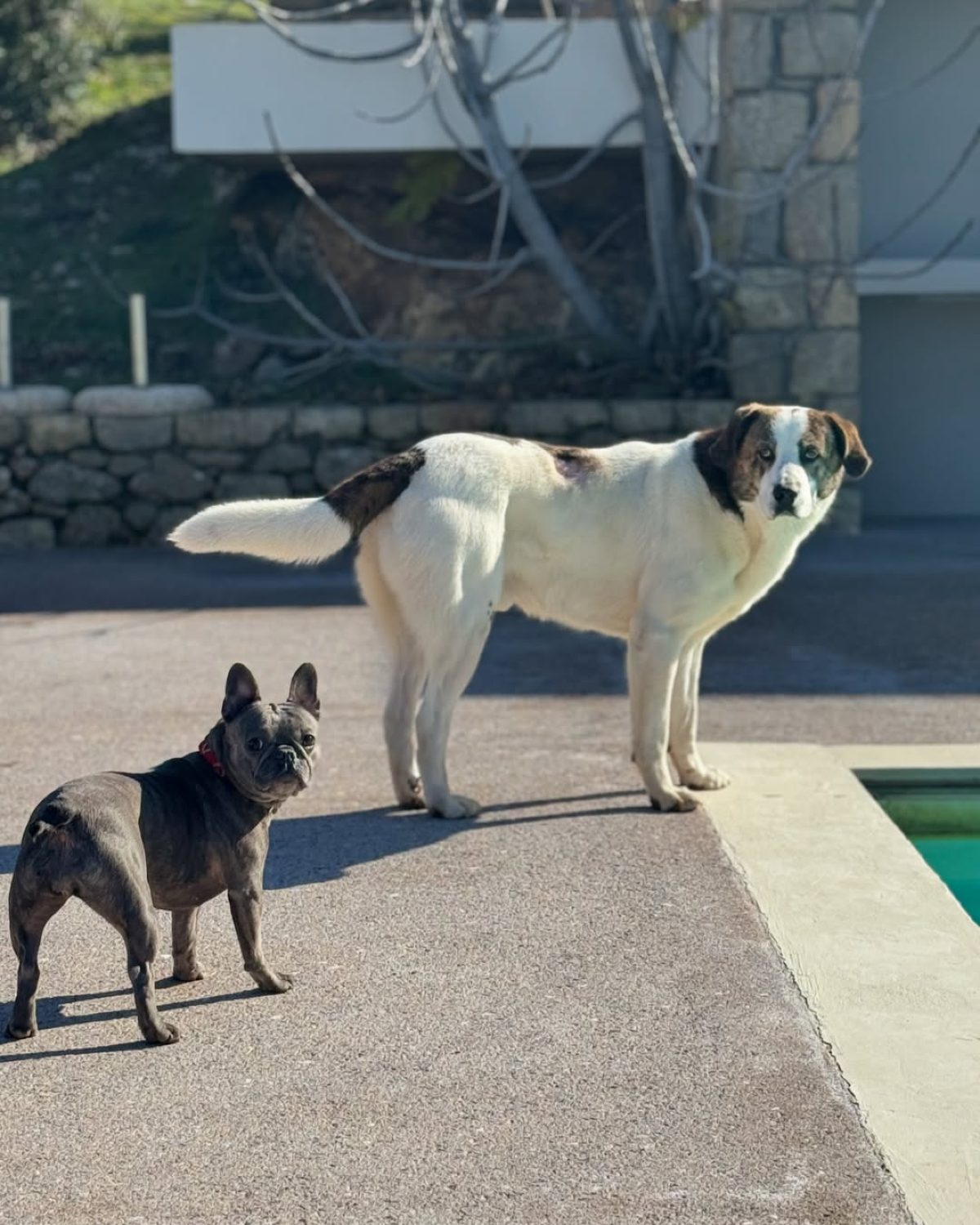 Οι στόχοι της Δανάης Μπάρκα για το νέο έτος