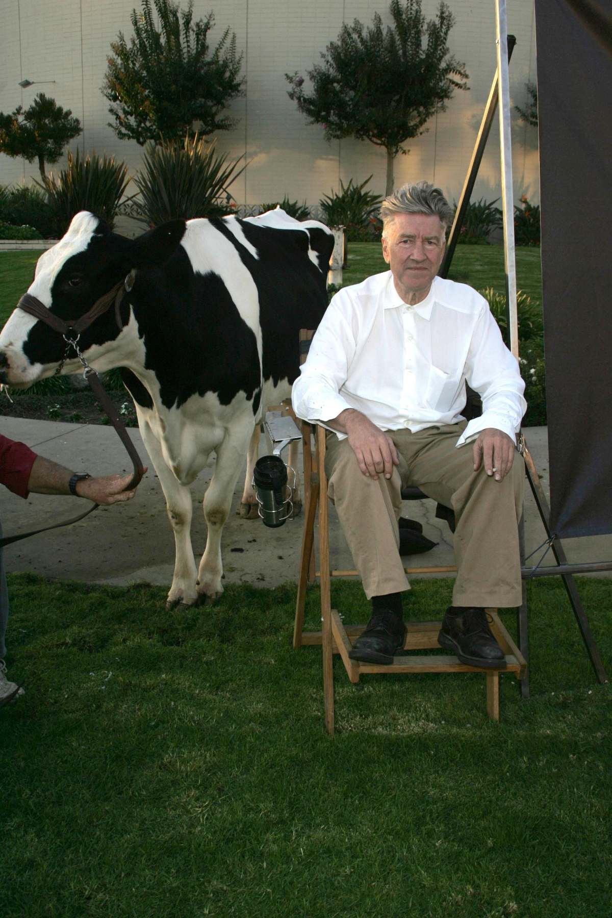 Ο David Lynch με μία αγγελάδα