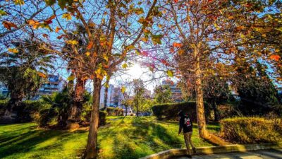 Χειμωνιάτικο τοπίο