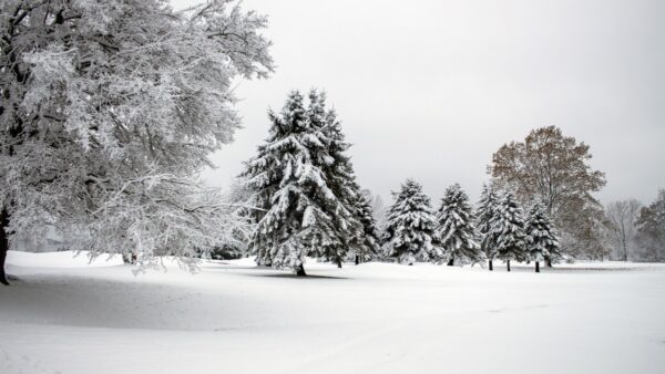 Μερομήνια χιόνια