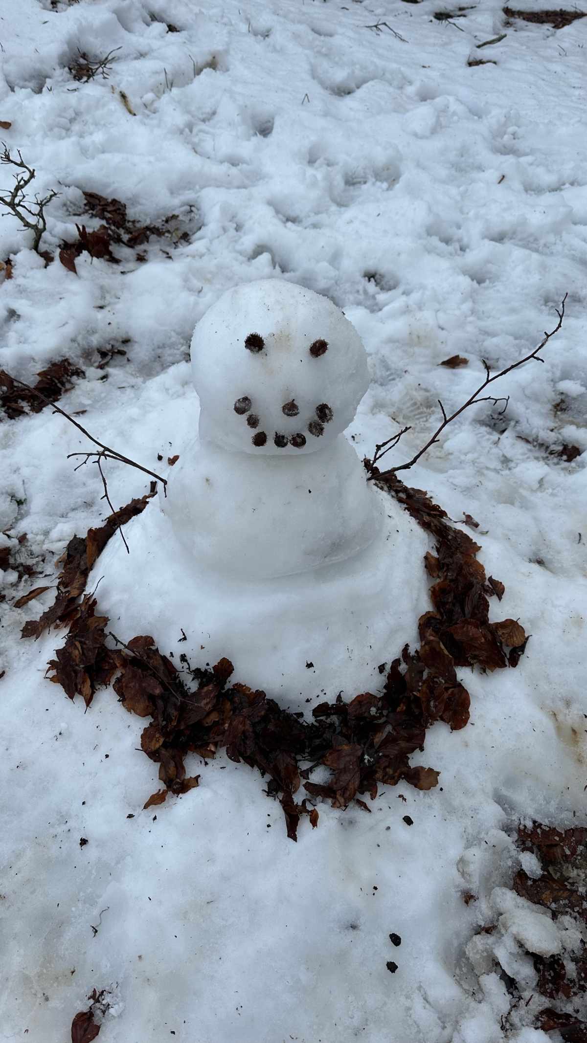 Η ανάρτηση της Σταματίνας Τσιμτσιλή στο Instagram.