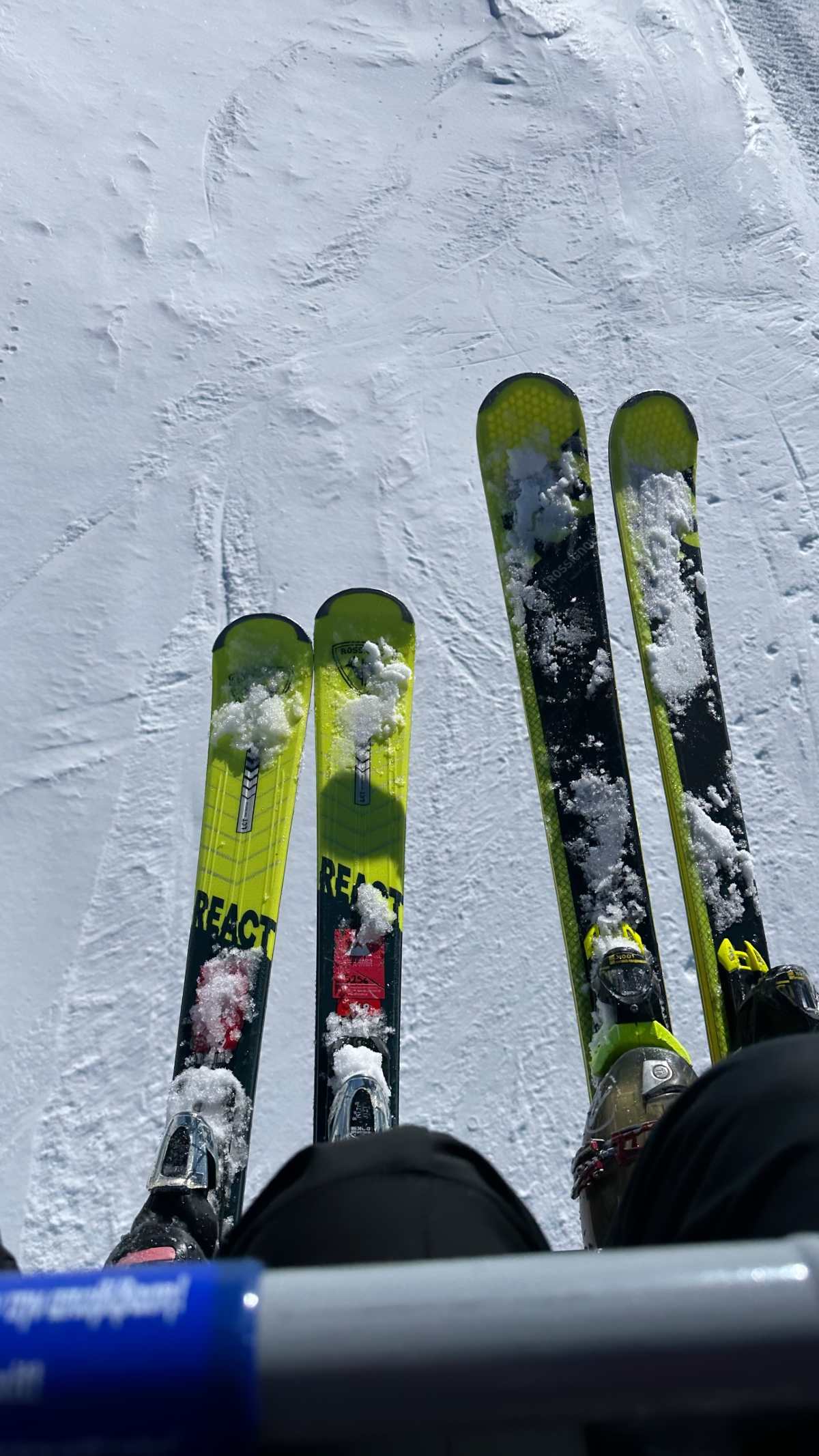 Η ανάρτηση της Σταματίνας Τσιμτσιλή από τον Παρνασσό.