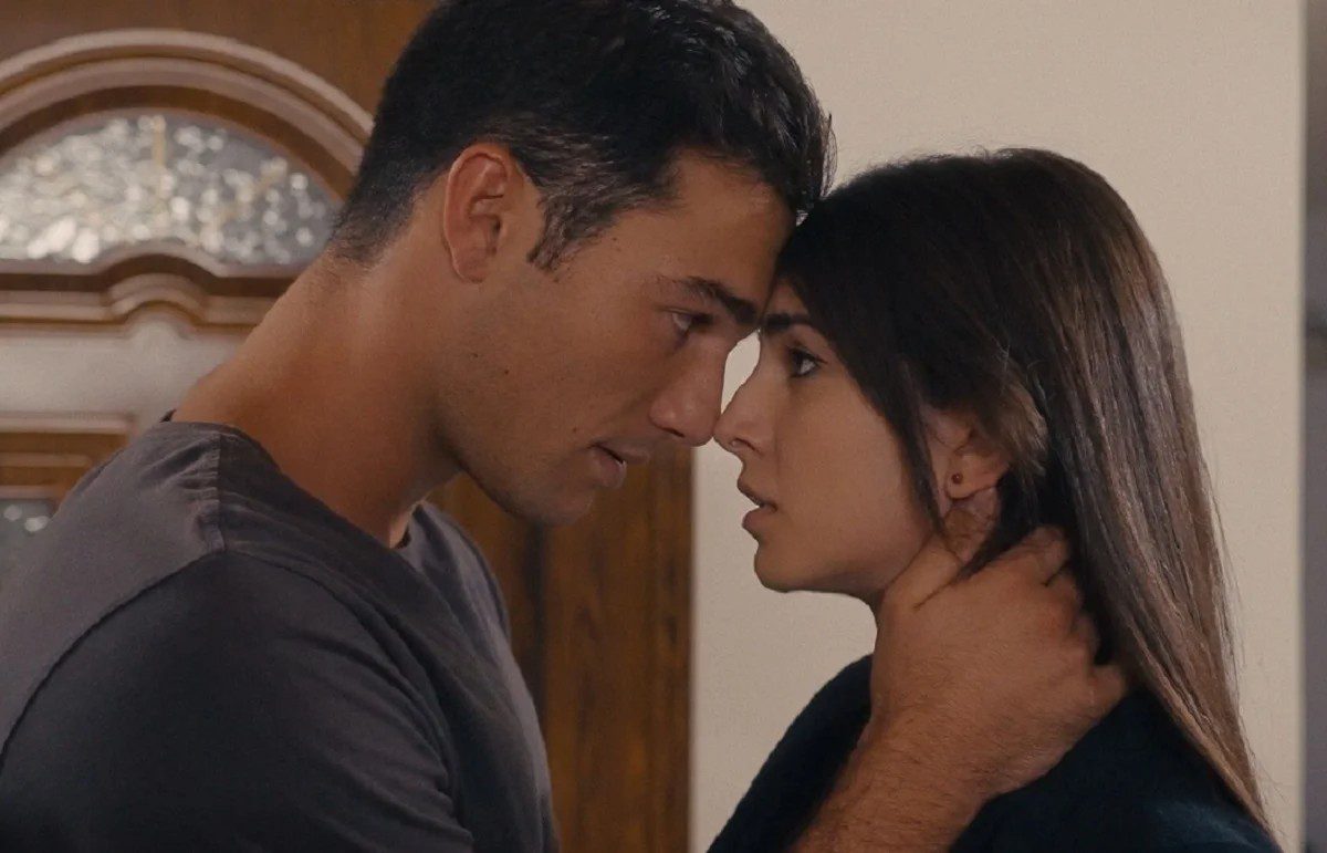 Η γη της ελιάς Μιλτιάδης Βασιλική