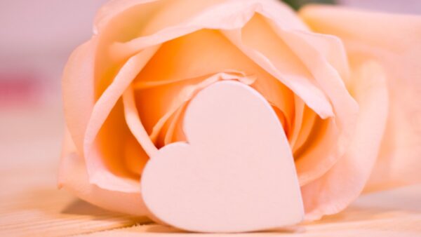 σχήμα καρδιάς και τρια;ντάφυλλο