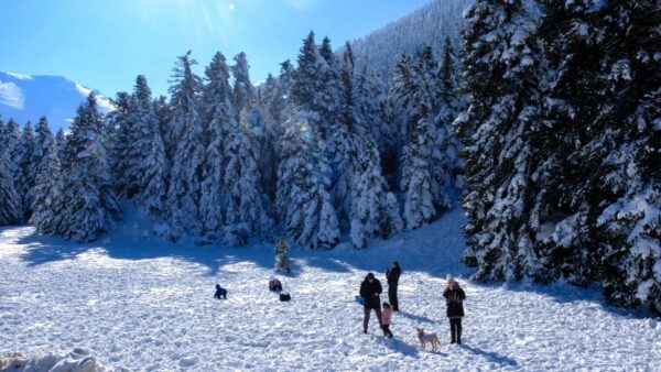 Χιονοδρομικό Καλάβρυτα