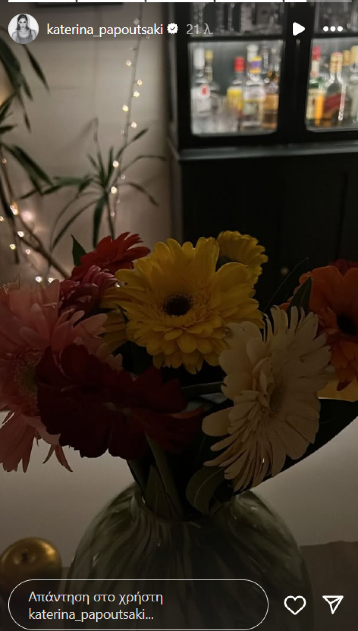 Η Κατερίνα Παπουτσάκη στο Instagram. 