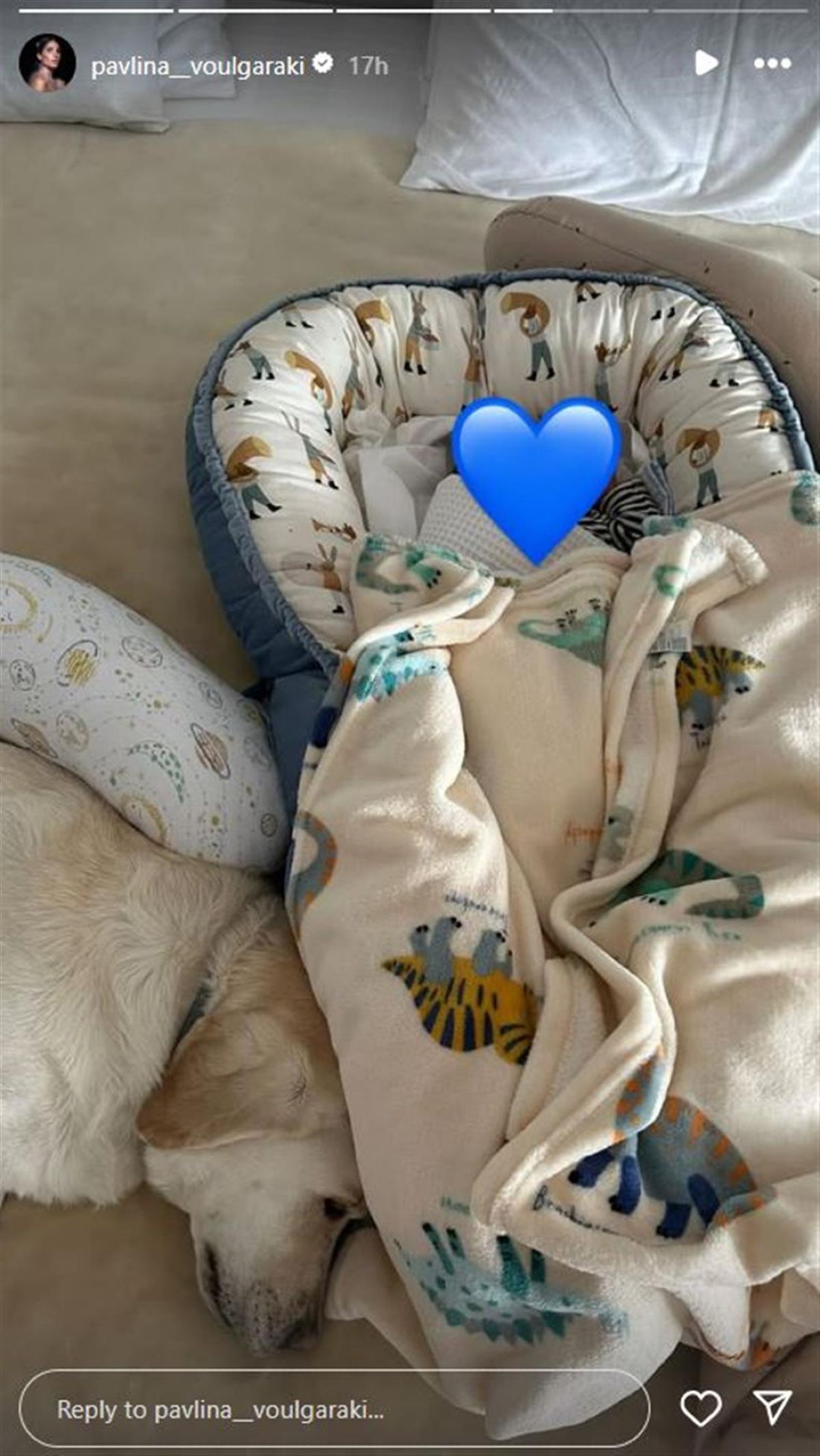 Ο νεογέννητος ανιψιός της Παυλίνας Βουλγαράκη