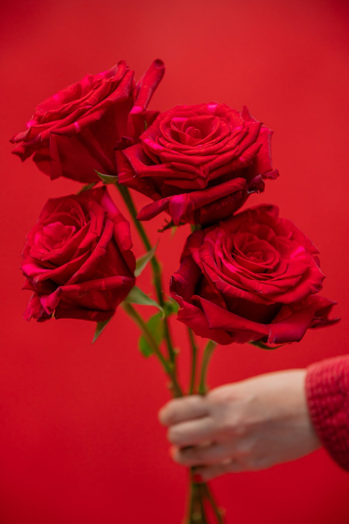 Μπουκέτο με κόκκινα τριαντάφυλλα