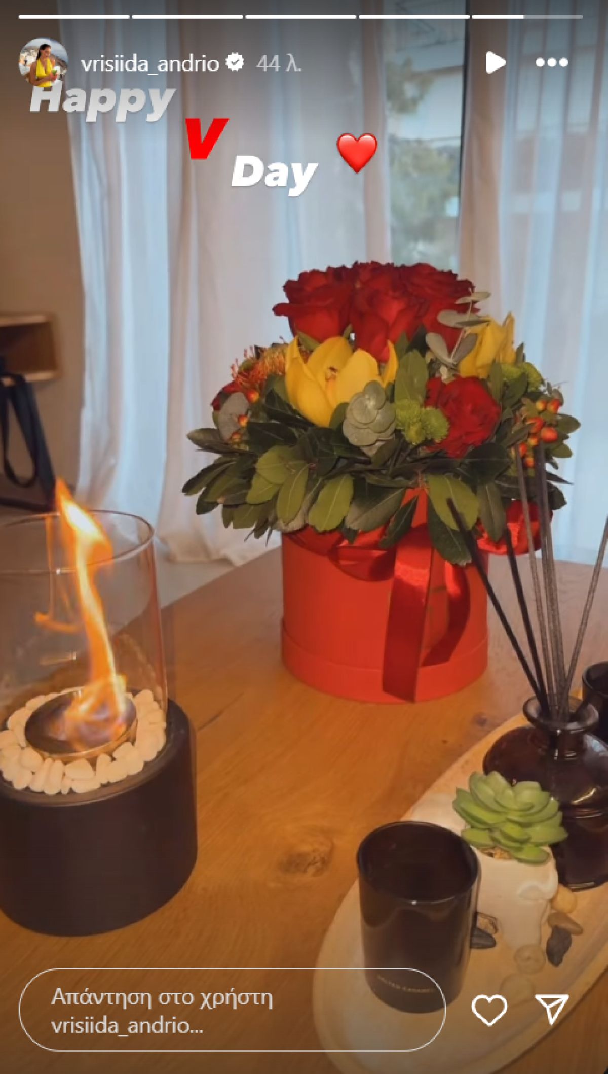 Η ανάρτηση της Βρισηίδας Ανδριώτου στο Instagram.