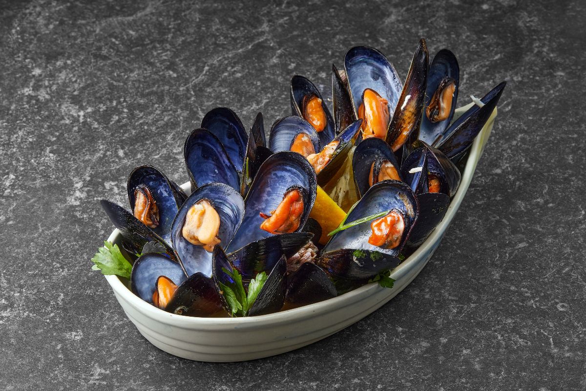 Μύδια Νόντας