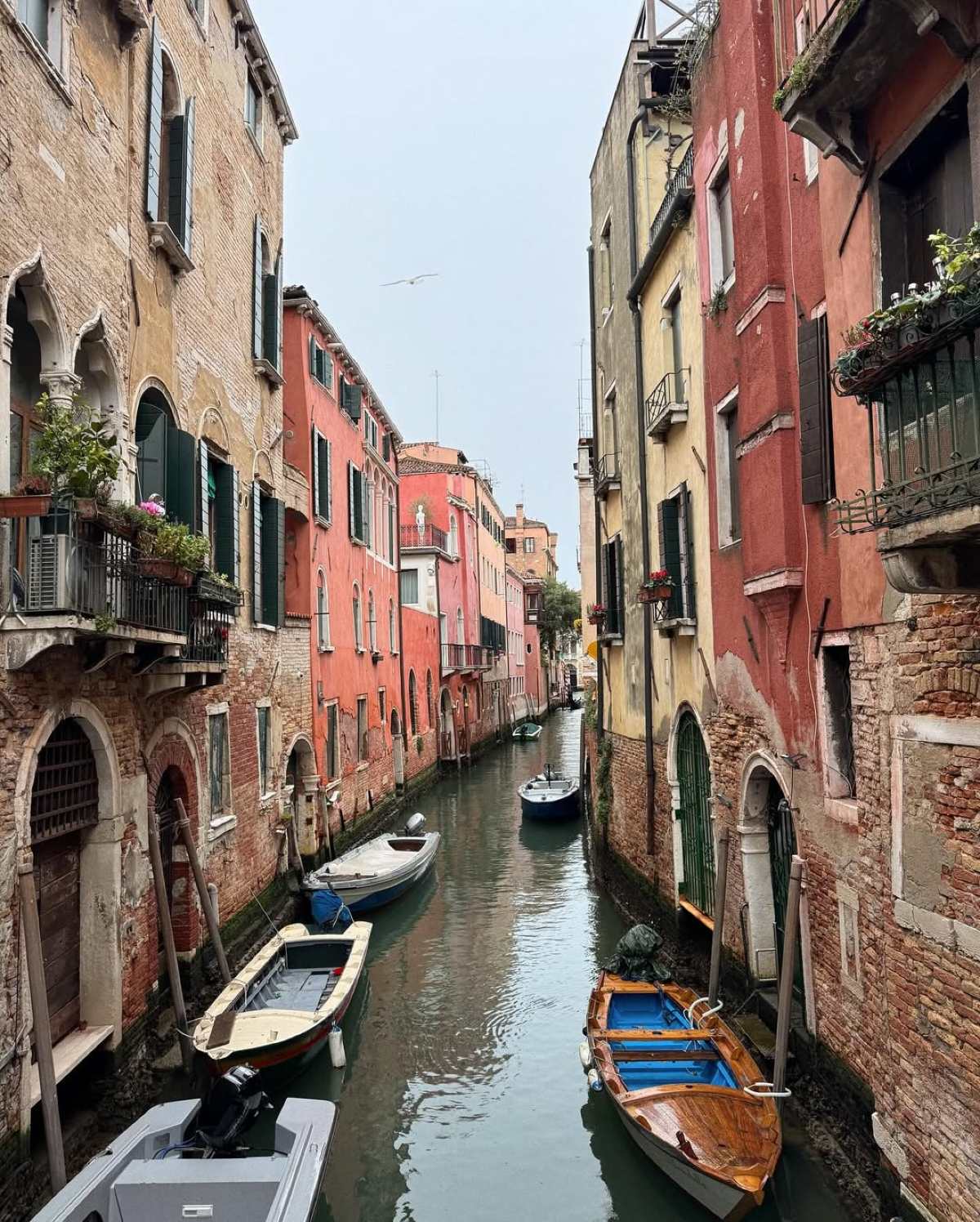 Κλέλια Ανδριολάτου: Κατέπληξε τα πλήθη με τις φωτογραφίες από το ταξίδι της στην Βενετία