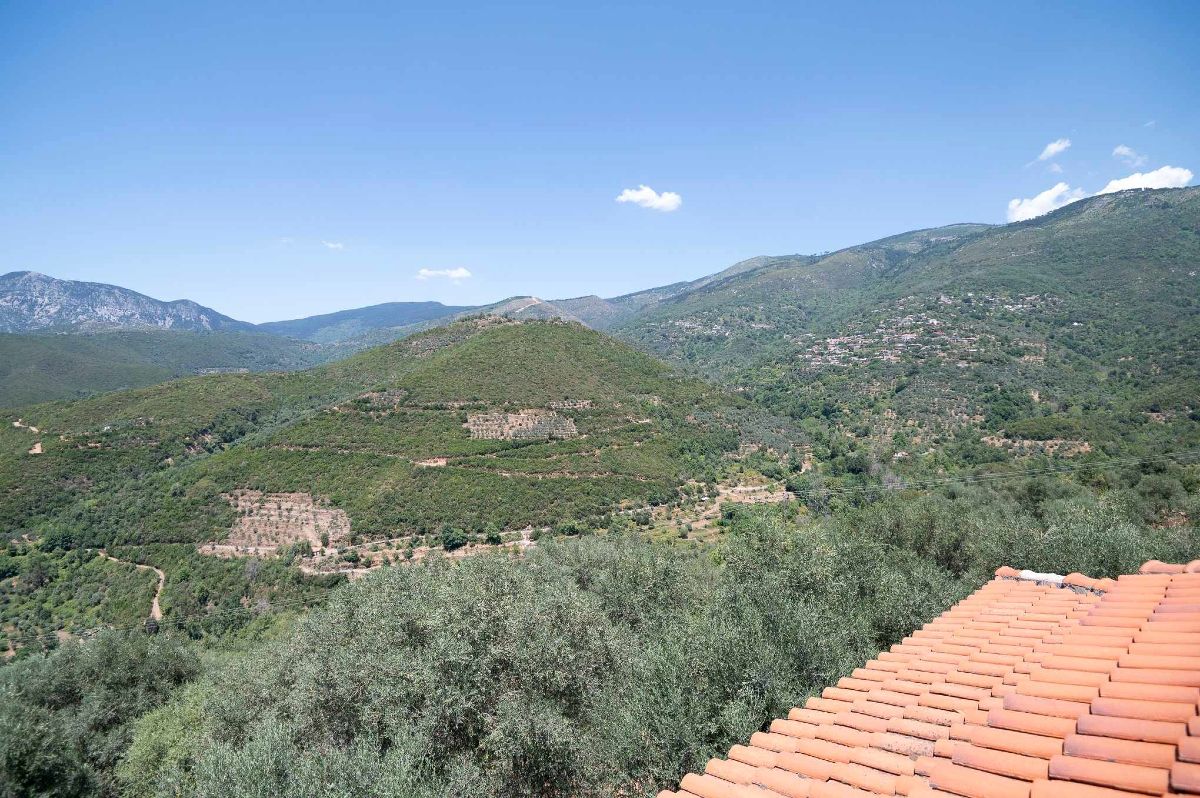 Η φανταστική θέα από το Endless Green