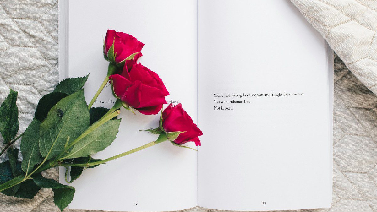 Ένα βιβλίο με κόκκινο τριαντάφυλλο