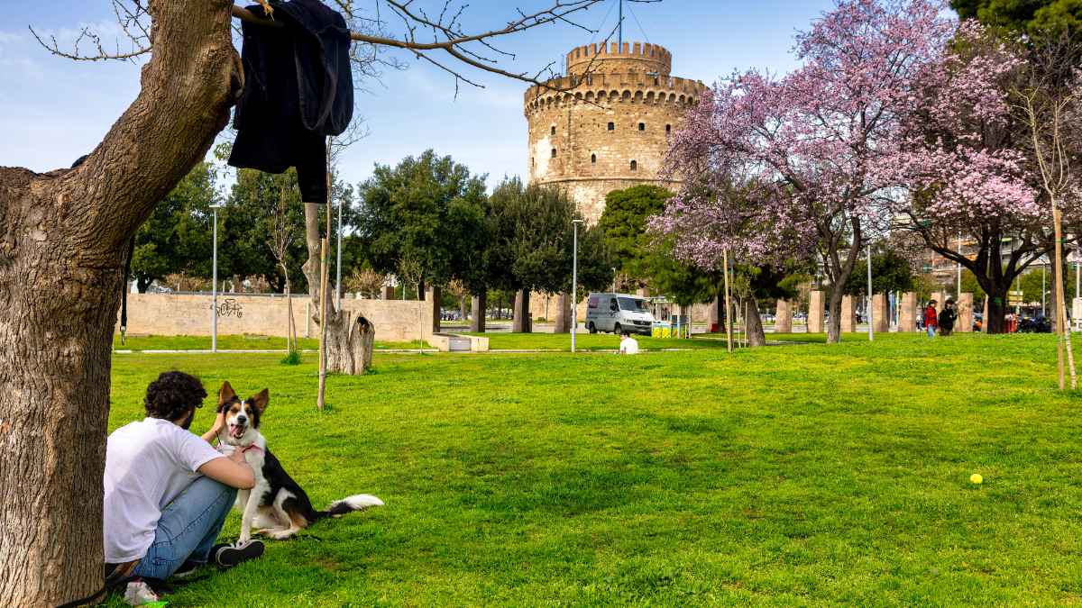 Φωτογραφία από τον λευκό πύργο στην Θεσσαλονίκη