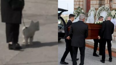 Καίτη Κωνσταντίνου σκύλος