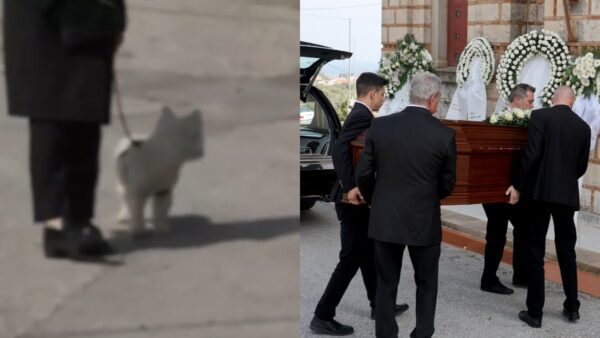 Καίτη Κωνσταντίνου σκύλος