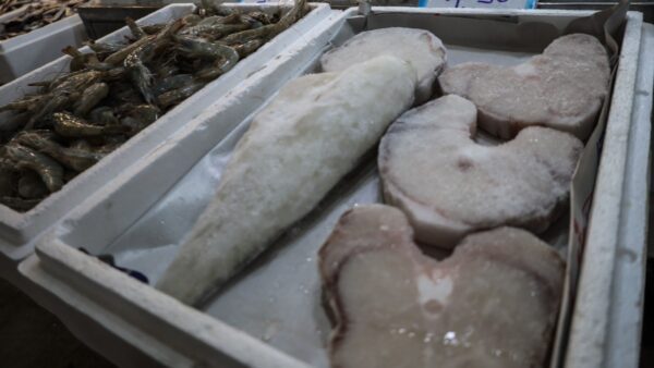 Μπακαλιάρος