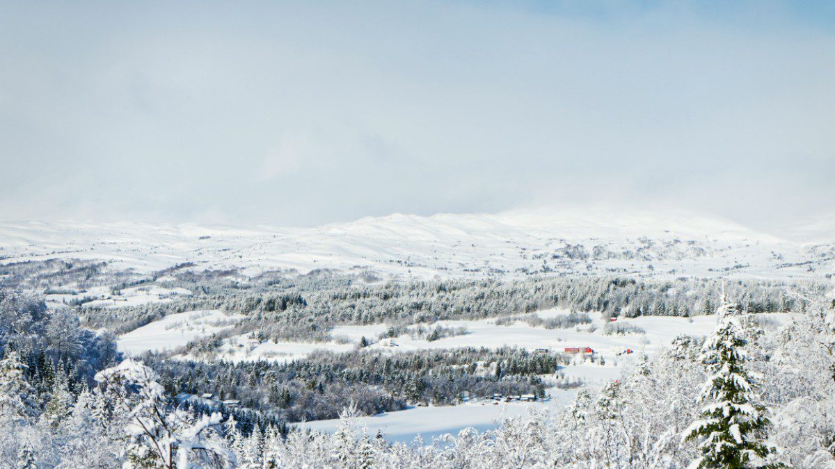Χιονισμένο τοπίο από Νορβηγία