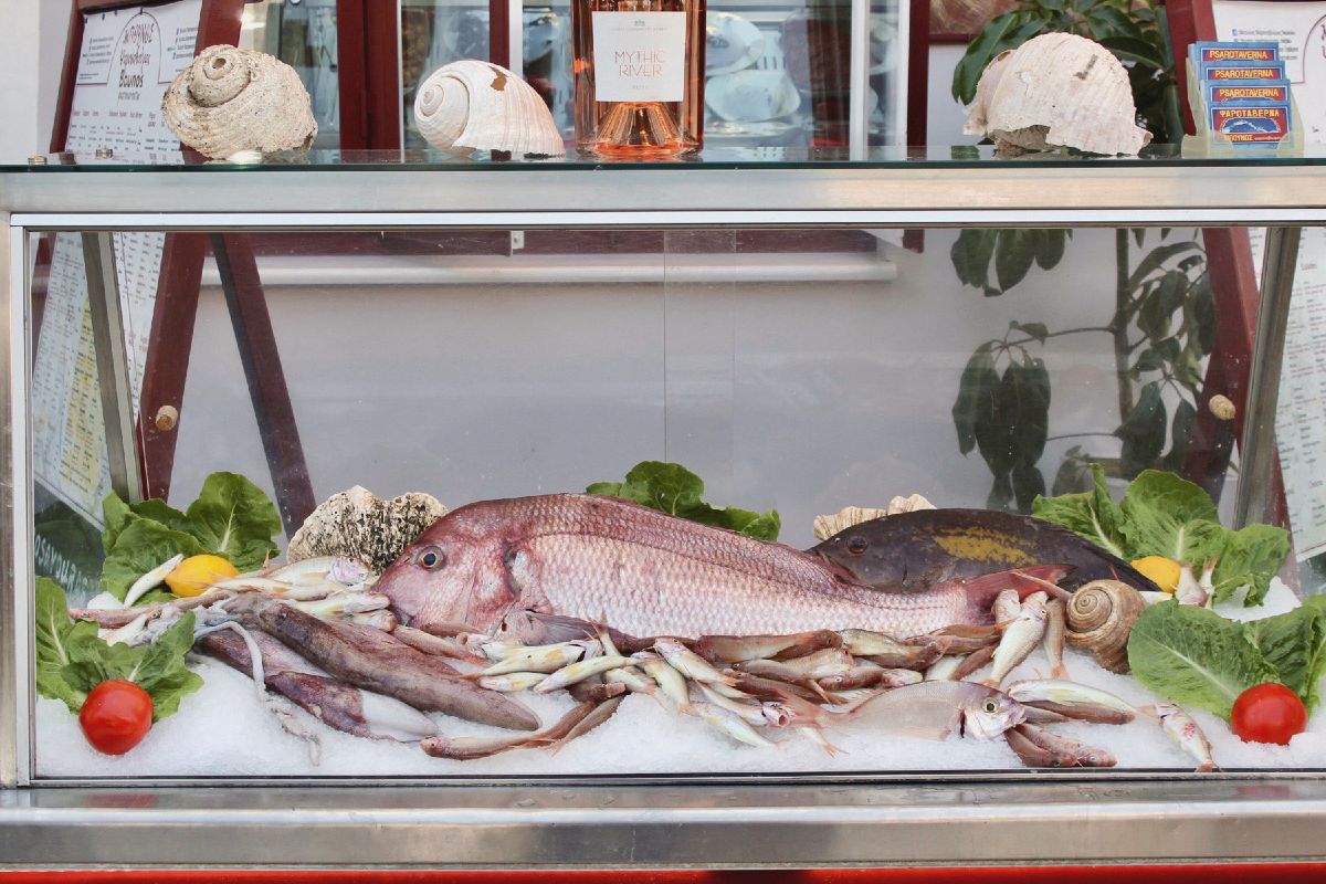 Φρέσκο ψάρι στη βιτρίνα του Μπούνου Ψαροσαβούρα